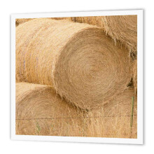 3dRose Washington Methow Valley Farm Hay Bales-Us48 Rti0142-Rob Tilley-Fer sur transfert thermique 10 par 10"""" pour matriau blanc (ht_96749_3)