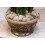 SuperMoss (21742 Mousse de renne prserve naturelle 3 lb 3
