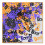 Boo! Confettis 1