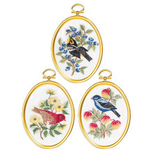 Janlynn Feathers & Flora kruissteekbenodigdheden meerkleurig
