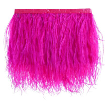 AWAYTR Struisvogelveren Trim Fringe - Satijnen Lint Jurk Naaien Ambachten Kostuums Decoratie Pack van 2 Yards (Rose rood)