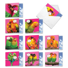Paras korttiyhti - 10 erilaista ystvnpivn muistikorttia (4 x 5,12 tuumaa) - Ystvnpivkortit laatikoissa kirjekuorilla - Love Birds MQ4628VDG-