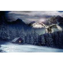 Pannello in tessuto gufo/mezzanotte - stampa digitale Call of The Wild - 27"" x 44"" - tessuto trapuntato 100% cotone