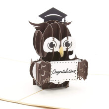 Liif Graduation Owl 2024 3D Pop Up -tutkintokorttiluokka 2024