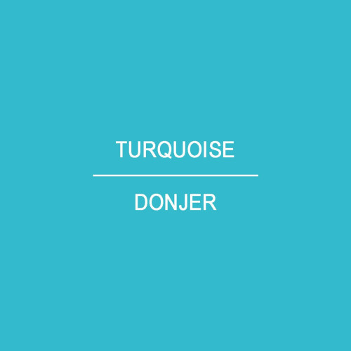 Donjer Wildleder-Tex Beflockungsfaser 1 Pfund Beutel Trkis (Rayon) 1