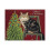 Lang Stringing Lights -rasialliset joulukortit (1004833) 1