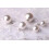 Perleknapper 20 stk helrunde perlebrudeknapper (perlehvid) (12 mm) 2