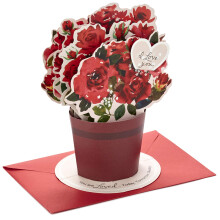 Hallmark Paper Wonder Pop Up Ystvnpivkortti nytettv kimppu (tnn huomenna aina) 699VFE1171