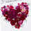 Hallmark Valentin-napi krtyacsomag Valentin kvnsg (10 Valentin-napi kpeslap bortkkal) 4
