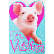 Verjaardagskaart Speciaal Voor Jou Op Valentijnsdag Met Varken - Hugs en Kussen