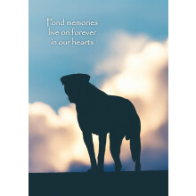 Glory To Dog Fonde Erindringer K?ledyrs sorg/sympatikort med lyk?nskningskort postkonvolut