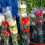 Blumenwickelpapier Opp 50 17,7x4,7 6