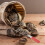 Rechen Strand Meeressand Handrechen Muschelsuche 8