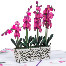 Paper Love 3D Orchidee Pop Up Kaart, Cadeau voor Verjaardag, Trouwerij, Moederdag, Dank Je, Algemeen