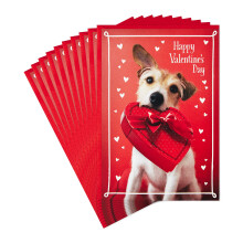 Hallmark Paket med Alla Hjärtans Dag Kort, Hund med Chokladask (10 Kort med Kuvert)