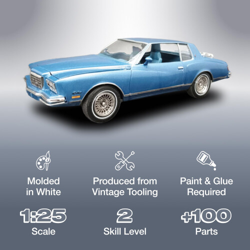 MPC 1980 Chevy Monte Carlo Class Action 2T 1:25 Models?t 1