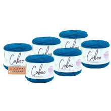Lion Brand Yarn  Coboo  6er-Pack mit Musterkarten (Stahlblau)