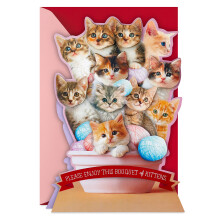 Hallmark Rolig Alla Hjärtans Dag Kort (Kattbukett)
