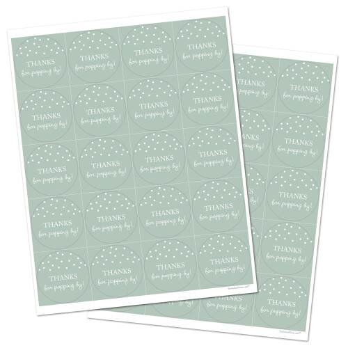 40 Bedankt voor het langskomen! Popcorn gunststickers (wit op mint) 2