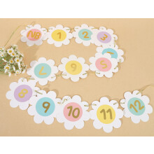 Daisy Monthly Milestone Photo Banner - Boho 1. szletsnapi dekorci pasztell szivrvny elso szletsnapi 12 hnapos fot Garland Groovy One dekor