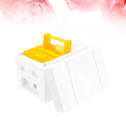 Box Bee Tool Imkereizubehör Werkzeug 2
