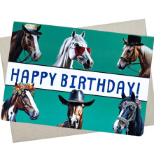 Sjovt hestef?dselsdagskort (1 Premium Notecard 5X7 tommer tomt indeni) Temmelig unikt Happy Bday-kort til hesteelskere - 1202