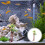 Miniatura De De Plástico Para Bonsai E Paisagismo 4
