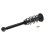 TRQ Amortisseur arrire et jambe de force  ressort compatible avec Mitsubishi Eclipse 2000-2005 1
