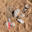 rechen strandrechen zum muschelsuchen und graben 9