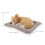kuscheliger plüsch schlafender hund für auto interior 2