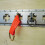X-Track rail 24"""" - 1 st 2