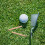 50 Mini Golf Potloden Voorverscherpt Scorehulpmiddel 7