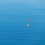10 Visdrijvers Set Drijflicht Aasboot Hengelsnoer Accessoires 8