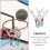 basketbalnet standaardformaat professioneel 1 10