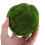 Esferas De Artificial Verde 10Cm Para Decoração De E Festas 6