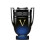Paco Rabanne Paco Rabanne Invictus Victory Elixir Parfum 50ml Spray 1