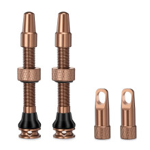 HZJD 2 STUKS Tubeless Presta Ventiel Oranje Ge?tegreerd Kernverwijderingsgereedschap (44 mm)