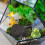 1 naturvulkansteine für töpfe, aquarium, 5
