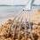 strandumwälzer metall für austern und muscheln 5