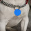 25 aluminium halsbandlabel lege tags puppy 5