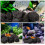 natuurlijke vulkanische steenkluitjes , aquarium, 6