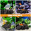 natuurlijke vulkanische steenkluitjes , aquarium, 7