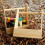 -Picknickbox mit , Behälter für , Gemüse, Snacks 8