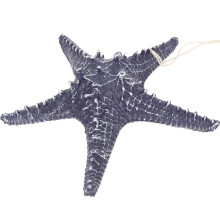 Sea Star Wanddekoration Aus Harz Mit Seesternmuster