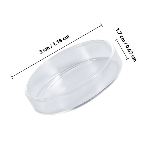 Glasfutterschale für Garnelen und 2