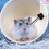 4 hamster drinkfles hangend lekvrij dier 11