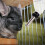 4 hamster drinkfles hangend lekvrij dier 9
