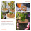 6 . kokosfaser-blumentopfmatten, mulchringe, anti- 10