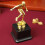 Sporttrofee Voetbal Erkenning Kampioenschap 5