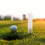 3 duurzame golf divotvorken met balmarkering - golfaccessoires 8